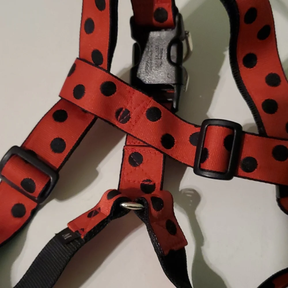 Red with black pokadot ladybug 🐞 pattern M dog harness